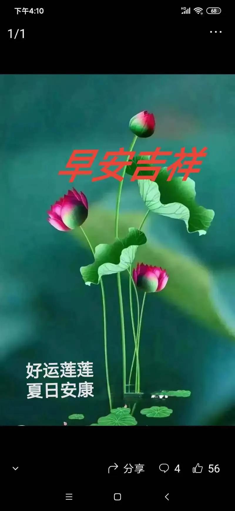 #长寿健康生活的关键是什么#昂首挺胸，乐观向上；快乐每天，潇洒人生；心底无私天地
