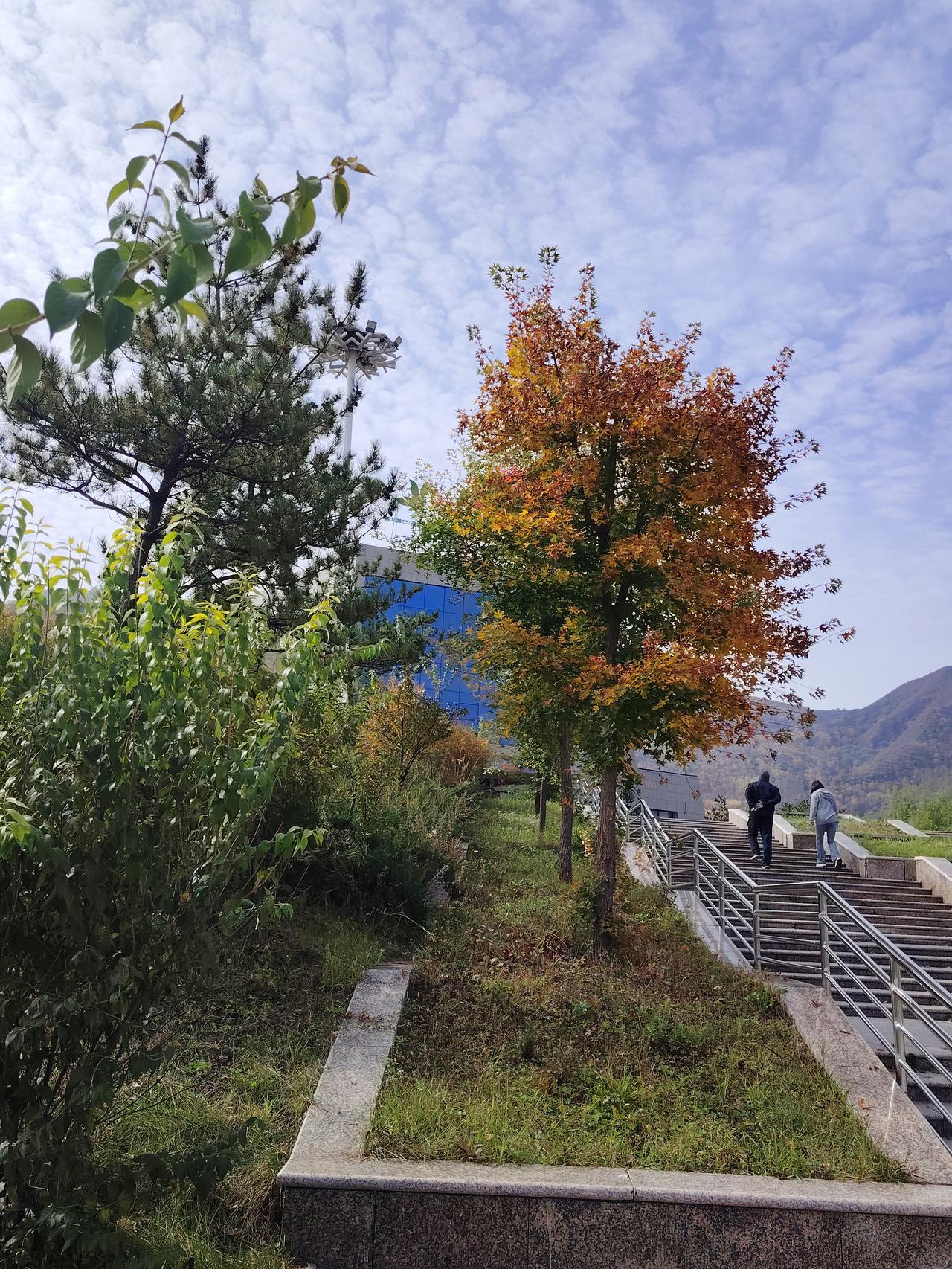 两岁孩子离开妈妈一段时间，再见妈妈什么状态？！[震惊][震惊][震惊]

小孙子