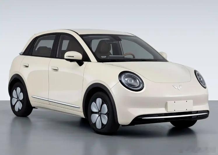 懂车之道讯 近日，懂车之道快讯，我们从最新一期工信部目录获得一组五菱缤果Pro申