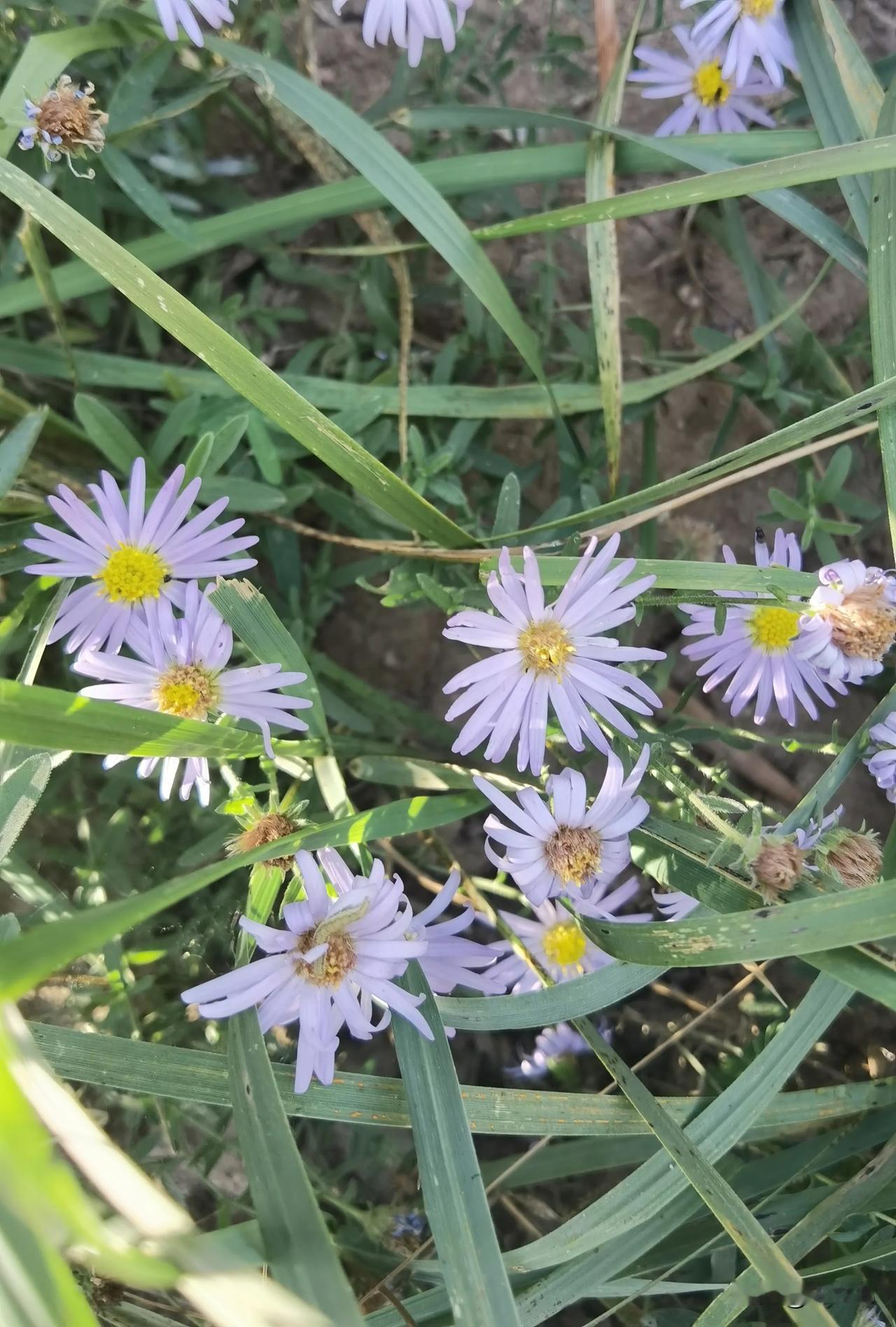 在这个物欲横流、名利至上的时代，人们往往容易迷失自我，将一时的得失看作衡量人生价