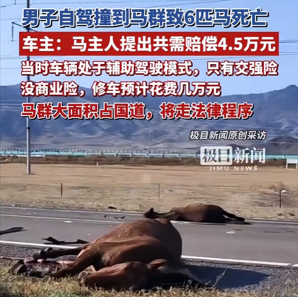 “都是辅助驾驶惹的祸！”男子一行四人从河南开着新能源车到西北自驾，途经218 国