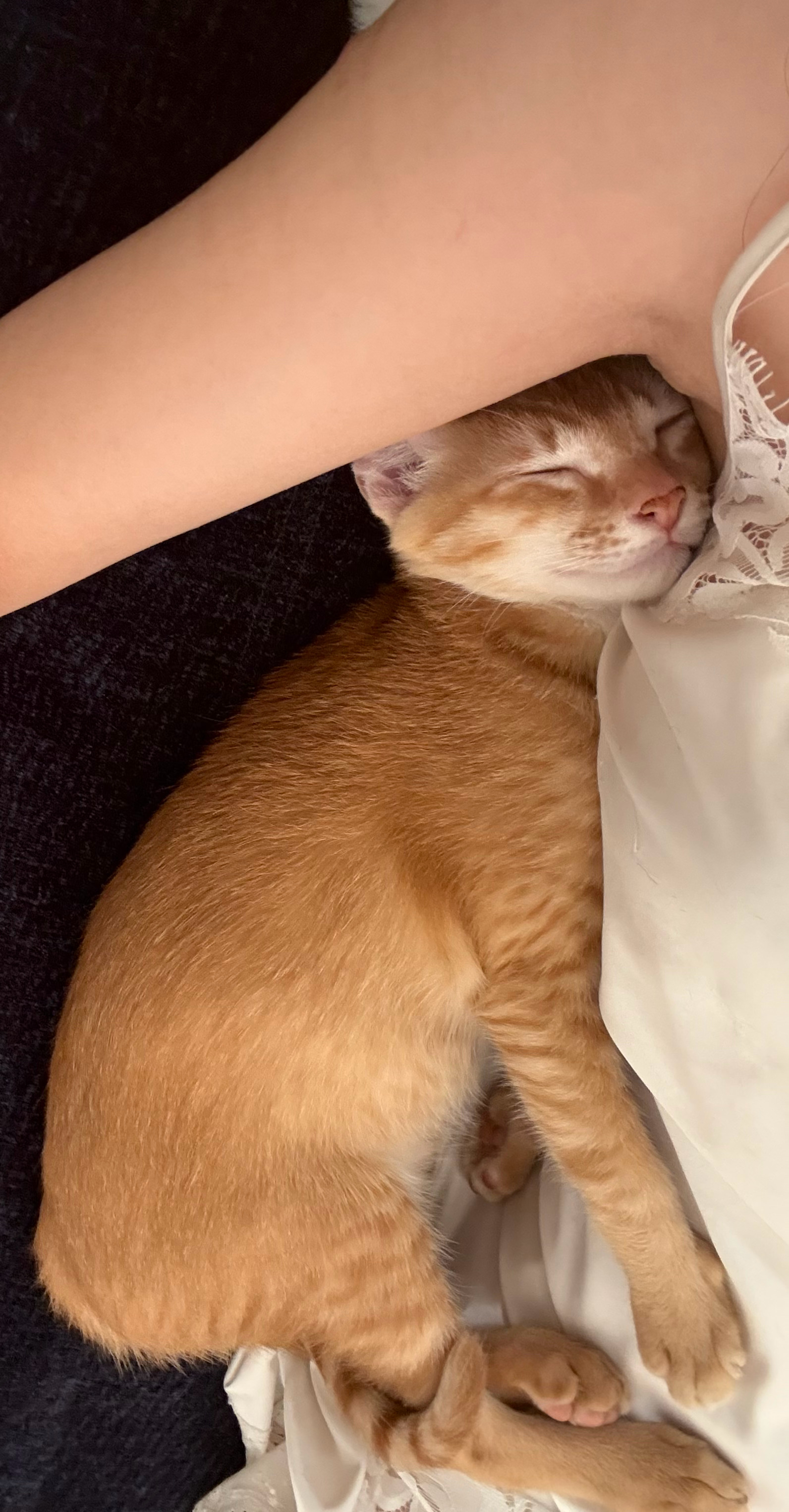 戒酒的第一天 ​​​