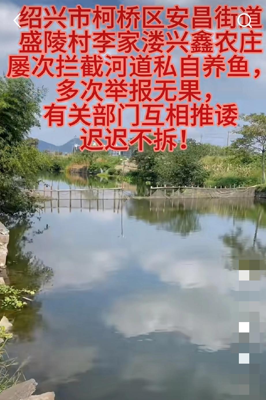 浙江绍兴，网友发视频爆料:位于柯桥区安昌街道的兴鑫农庄私自拦截河道养鱼，多次举报