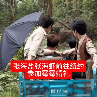都去我们南洋双生子也要去。 