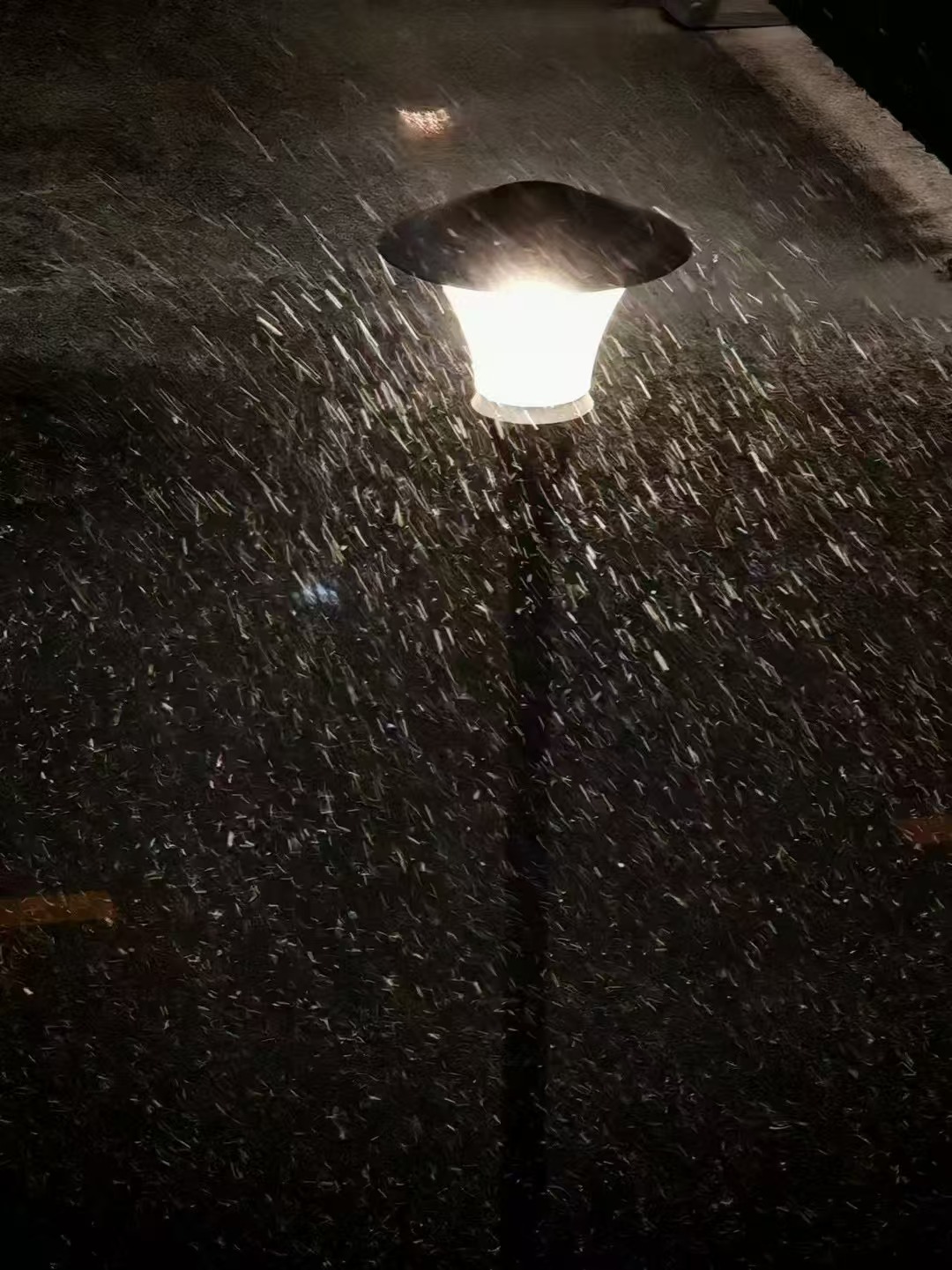 北京下雪 北京初雪，朋友圈盗了几张图 