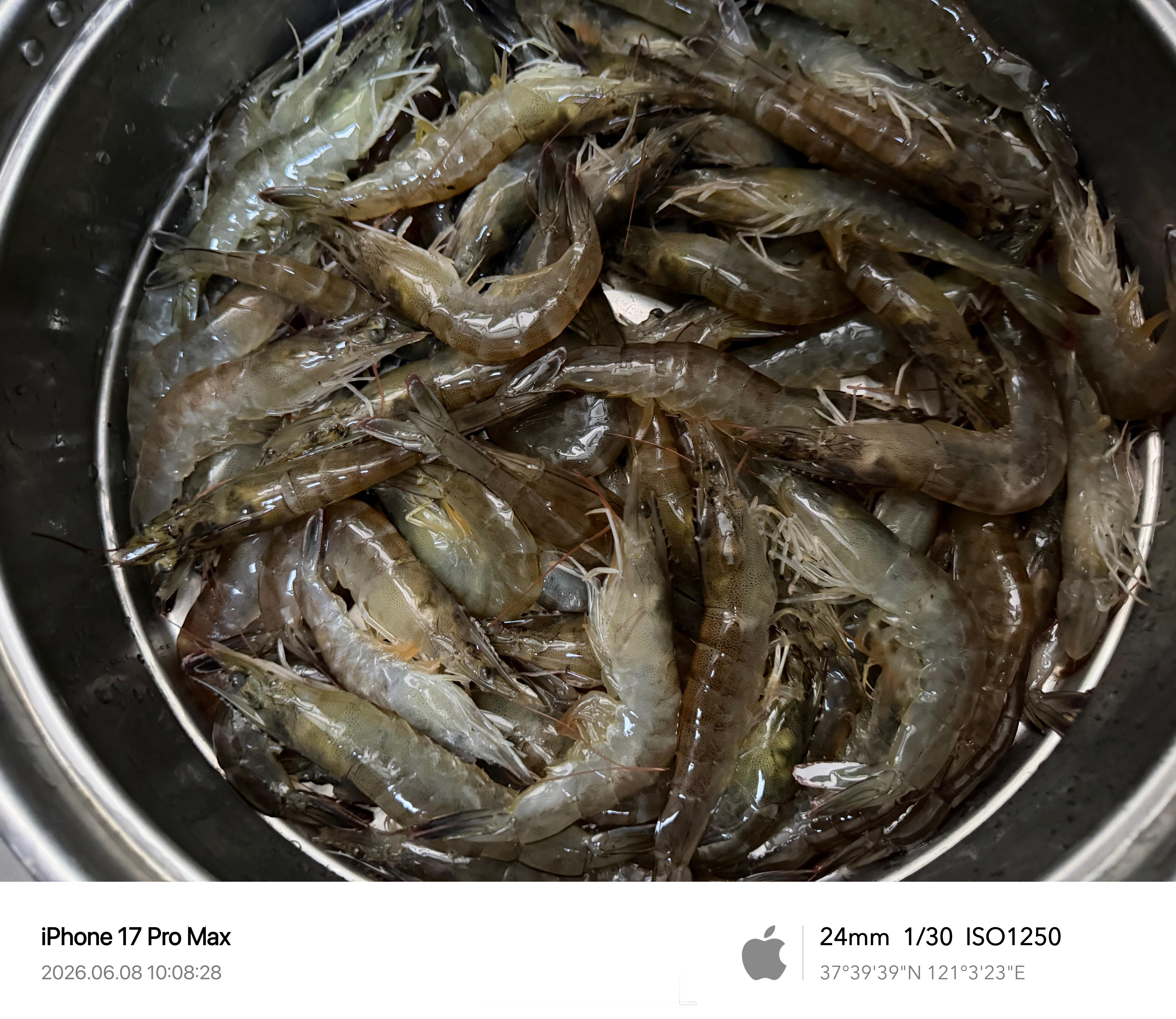 中午吃虾🦐，新鲜的很，还在跳住海边就是爽，蒸、炒、煮、烤海洋生物 烟台