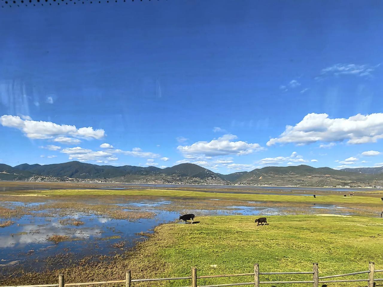 游云南香格里拉（八）
蓝天、白云、草地、湿地、湖泊、牛羊，构成了纳帕海景区的风景