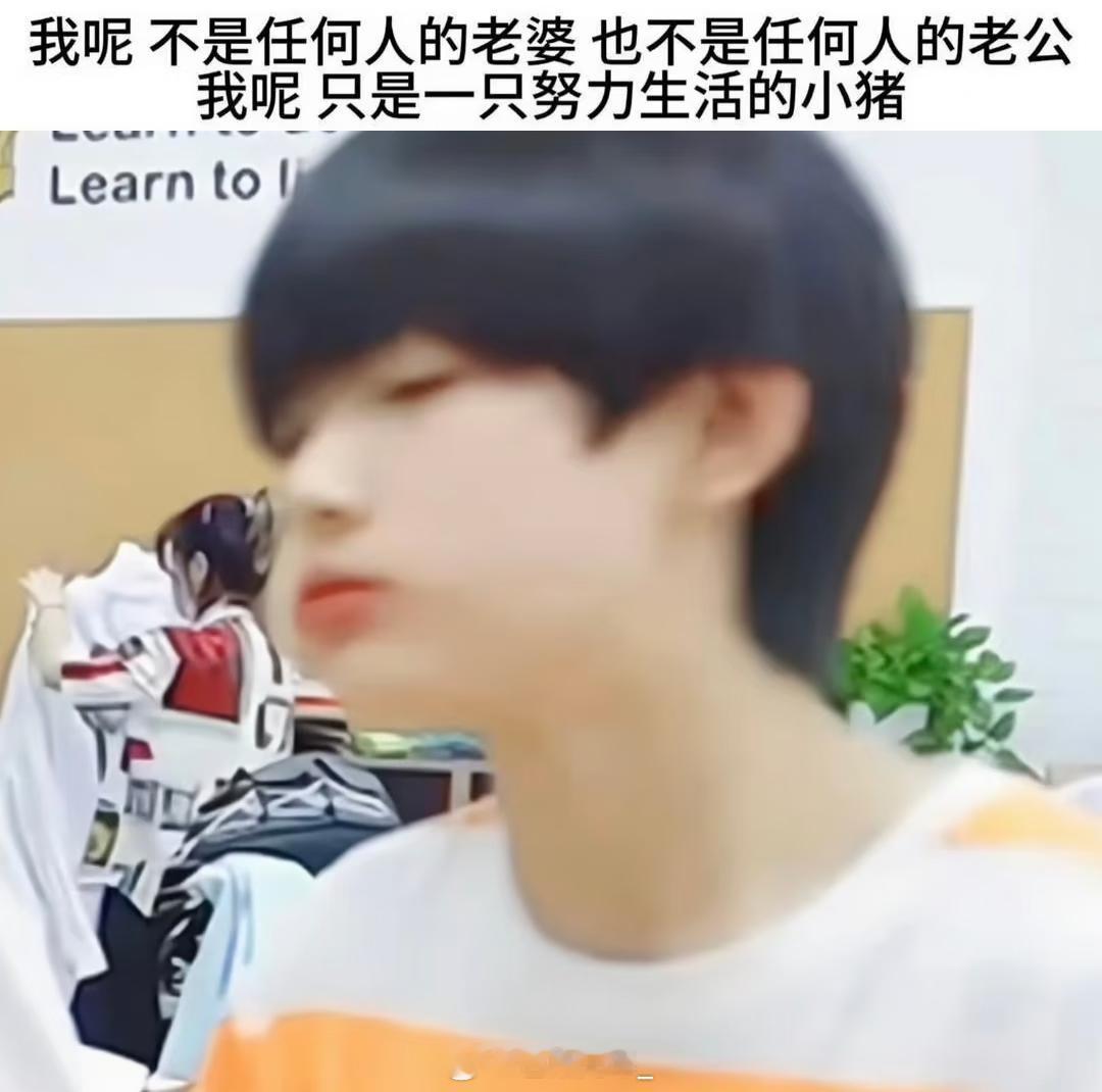 可是谁会喊一只小猪老婆呢 是我呢