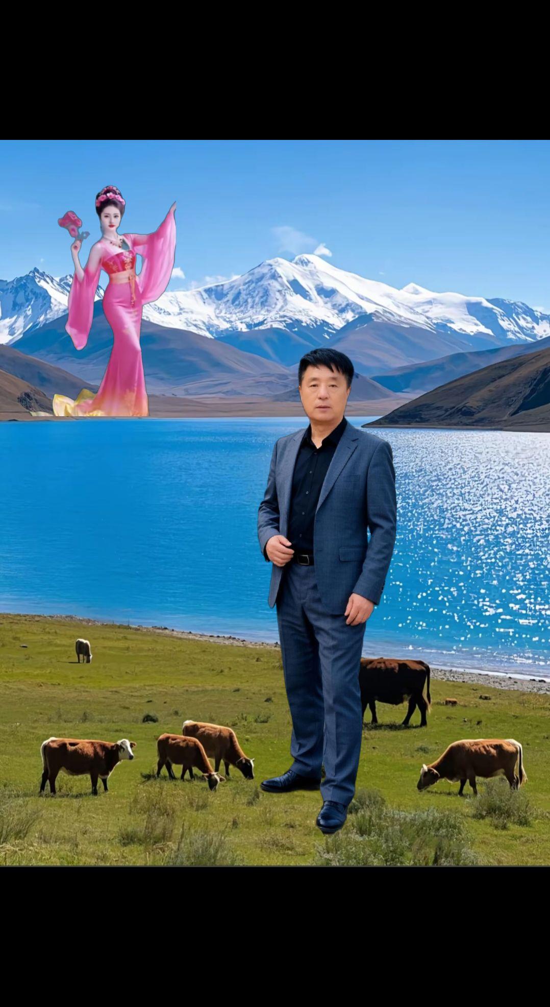 情感歌曲分享大家一一