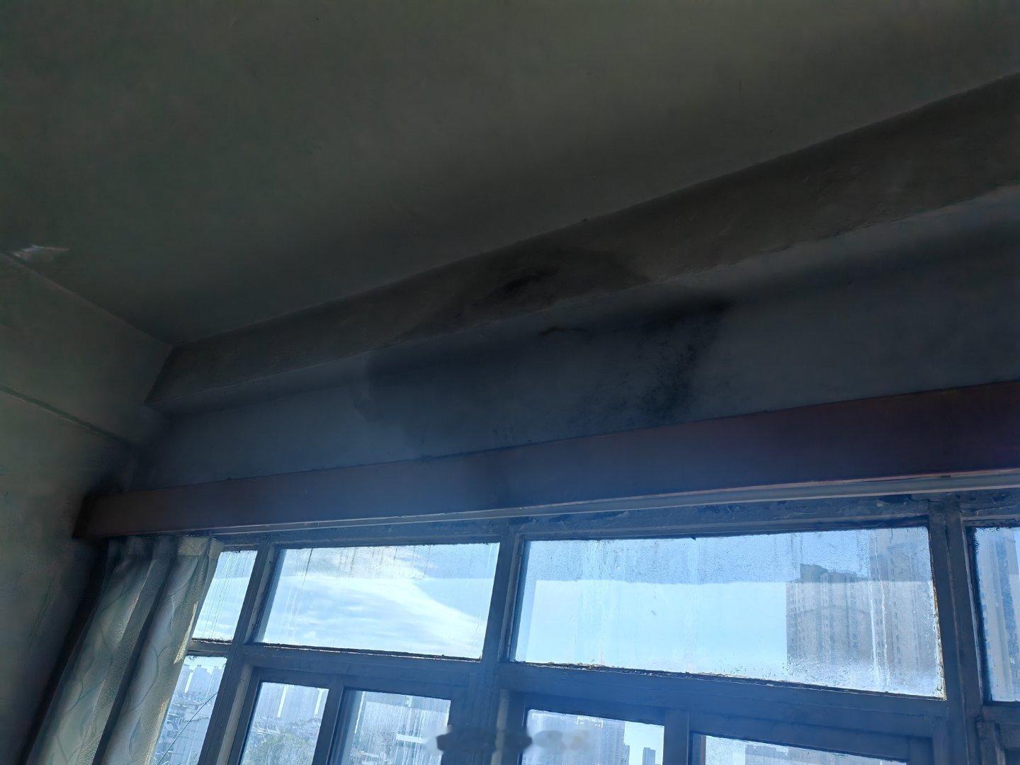 宿州爆料宿州宿州同城  ，你们房子漏水，漏的下面单位办公室窗台都长蘑菇了，现在早
