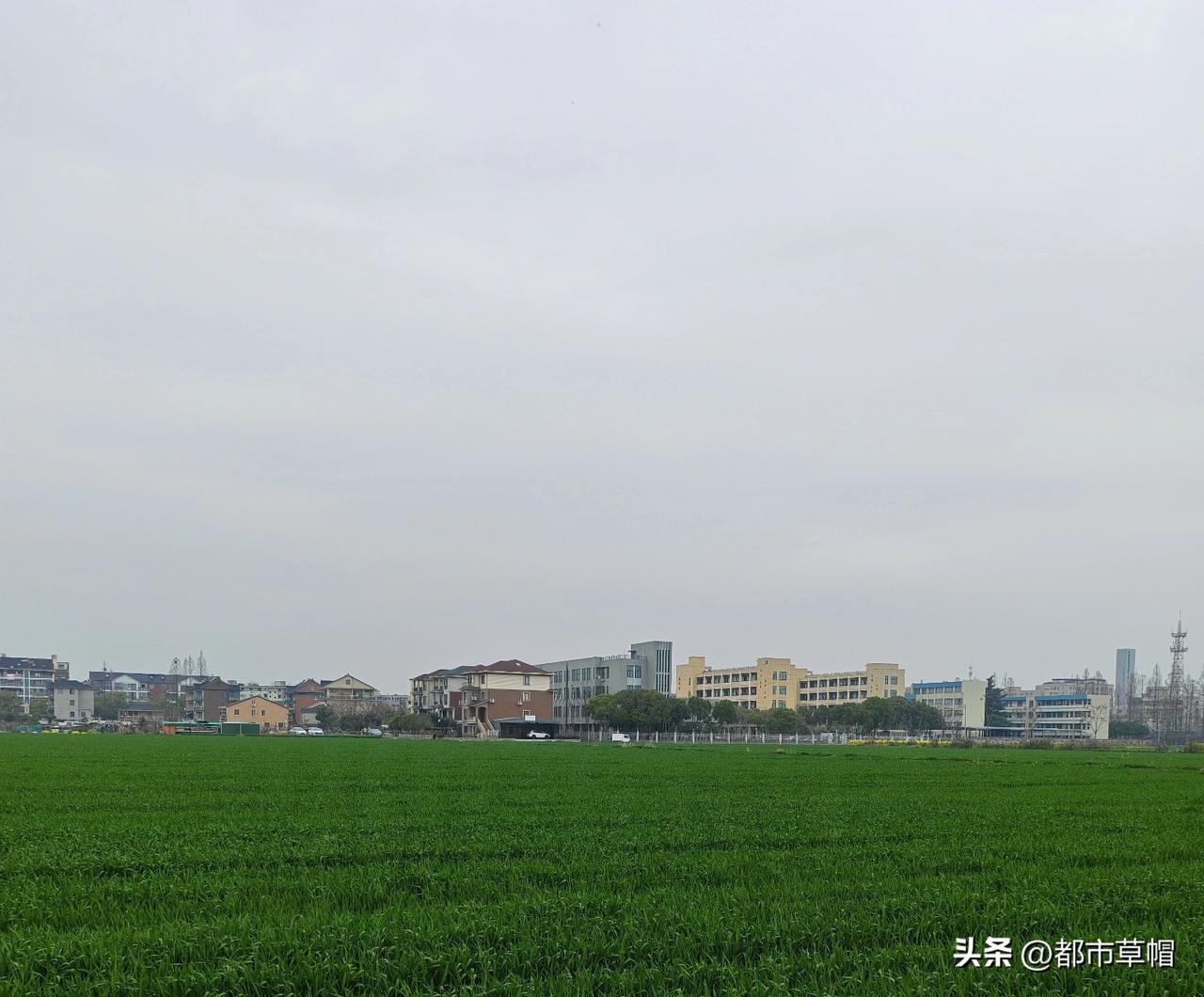 家长：“你不让我孩子来上晚自习，我投诉你们学校！”
老师：“这是你的权利，我不会