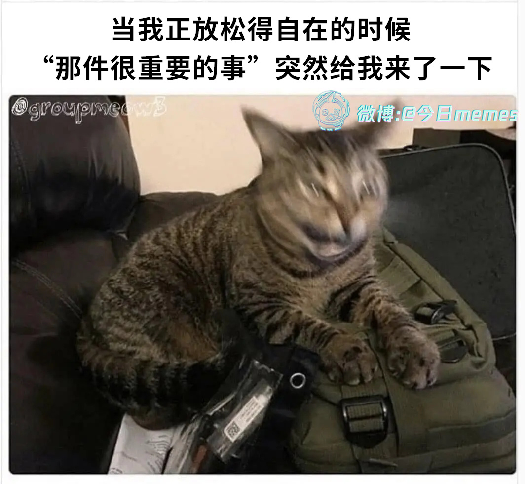 太坏了（9gag）今日meme今日memes