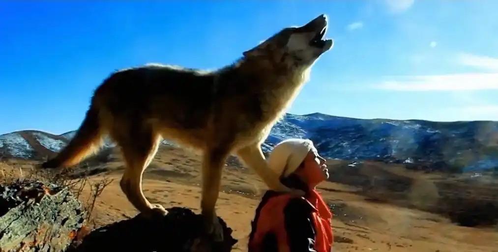 “爱一个人好难”，这不是苏永康的歌，而是《重返狼群》里格林一生的感悟。

作为一