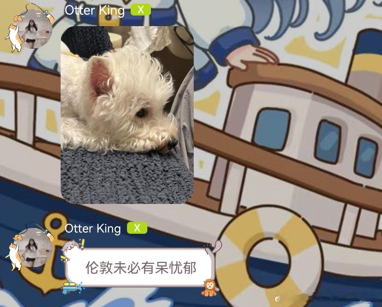 不呆 忧郁小呆😮💨 