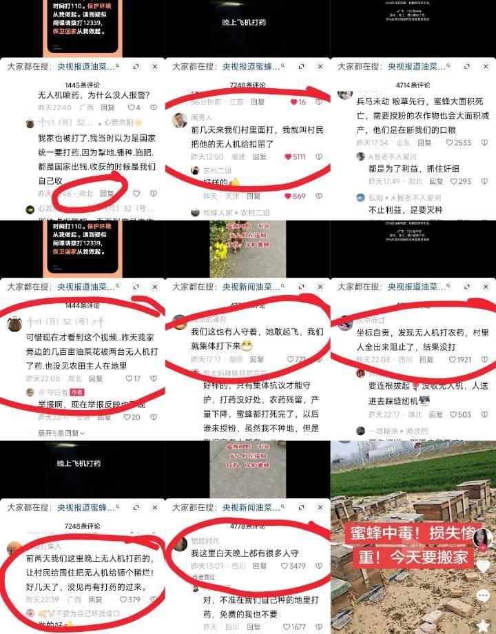 字少，事大，各自为战@紫光阁 @都市快报 @大公文匯網 官方给油菜花喷药致蜜蜂大