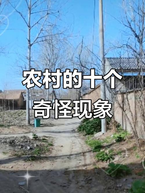 目前，农村最突出的问题是什么