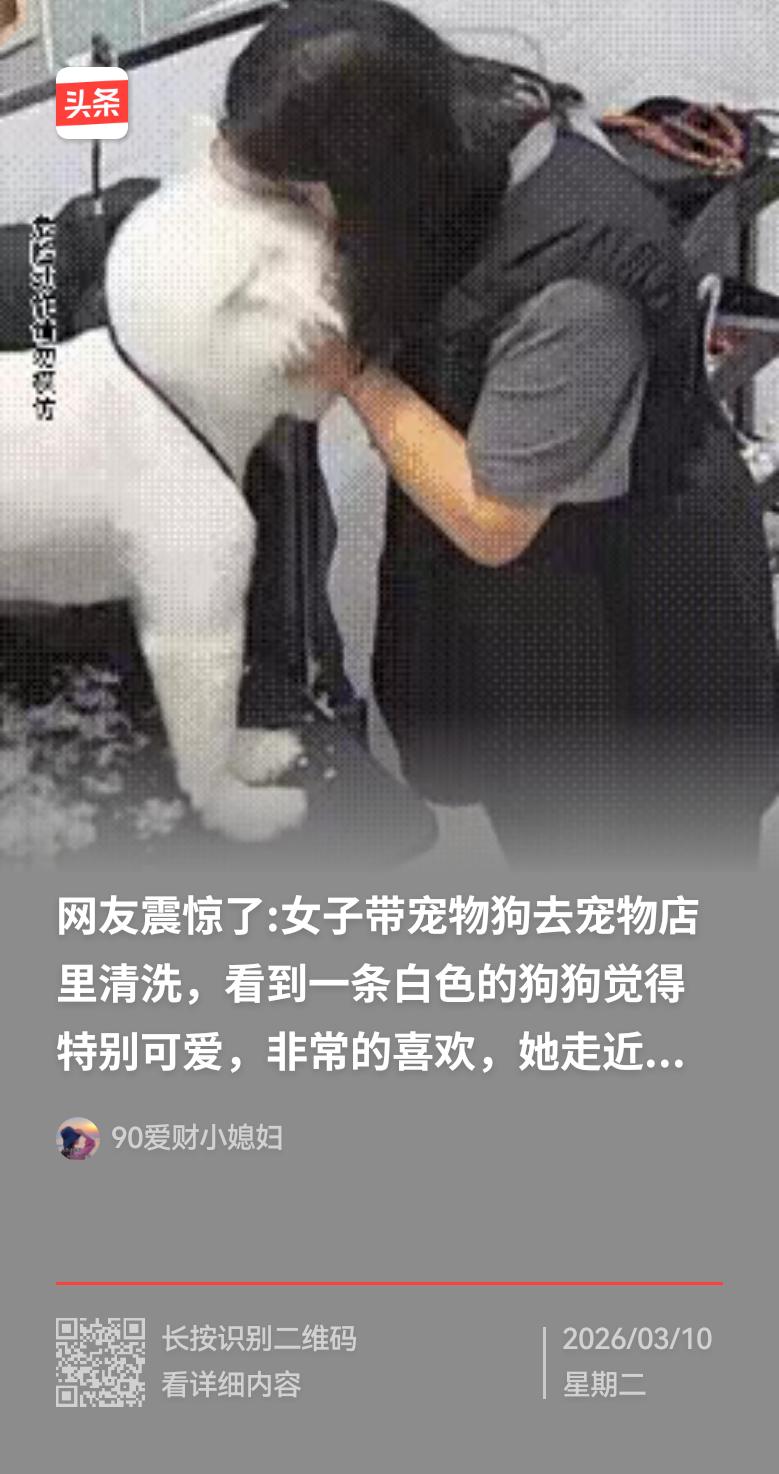 一女子牵着自家狗狗到宠物店为爱犬洗澡，瞧见另一位顾客的雪白宠物狗可爱至极，忍不住