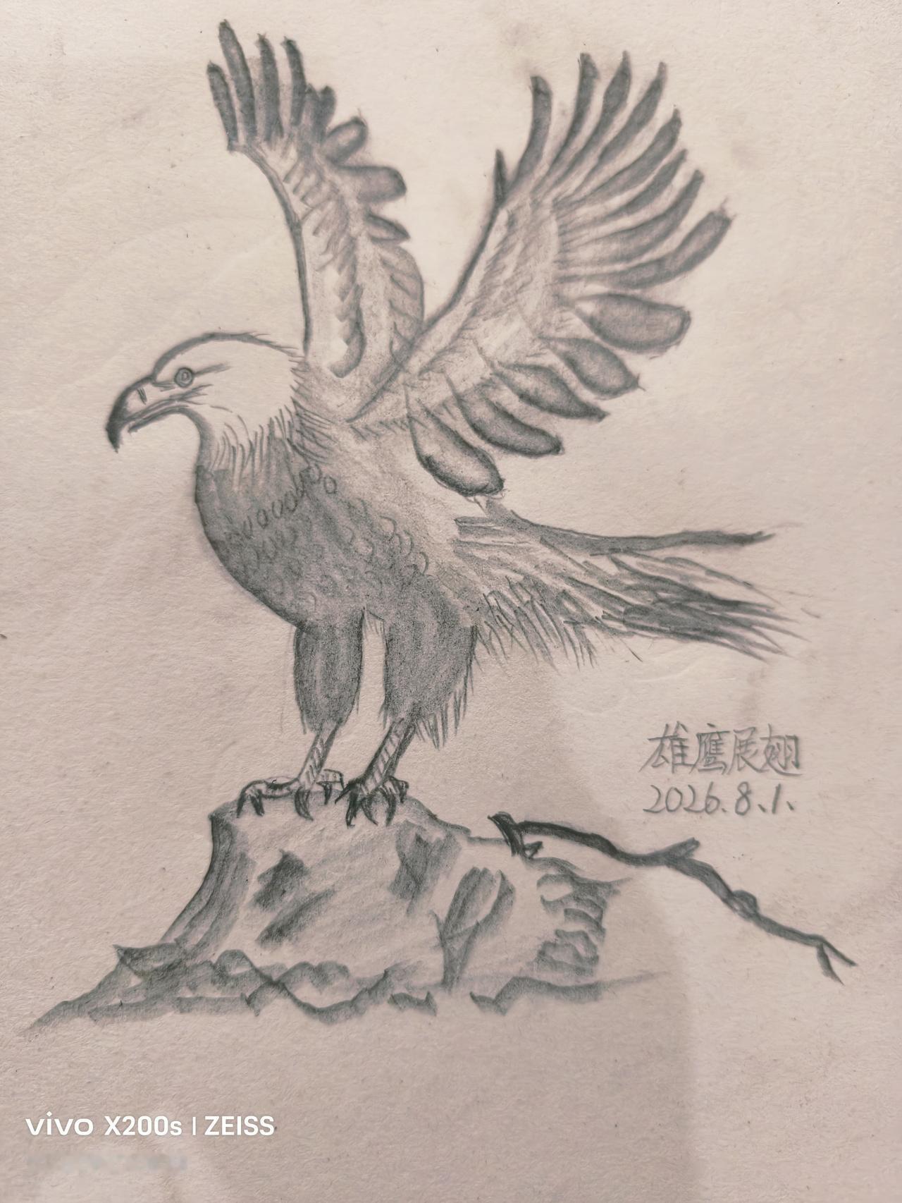 希望绘制其它画时能随心所欲
        昨天上午散步回家又在餐桌上用铅笔绘了