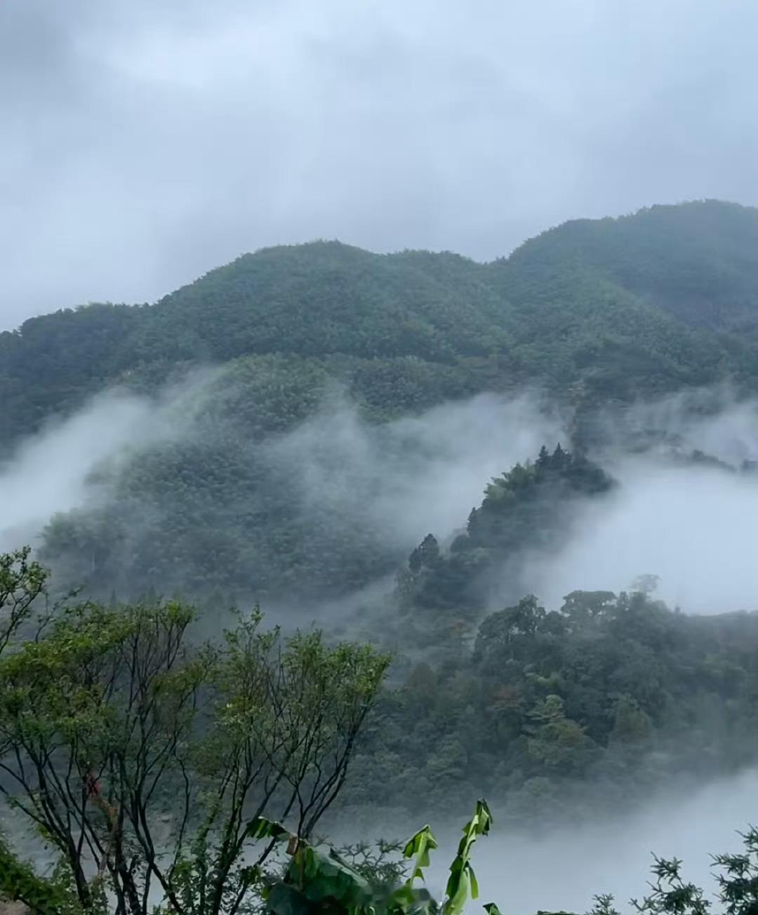 为什么年轻人假期爱往山里跑年轻人假期爱往山里跑，只因山中风景美，空气鲜，远离喧嚣