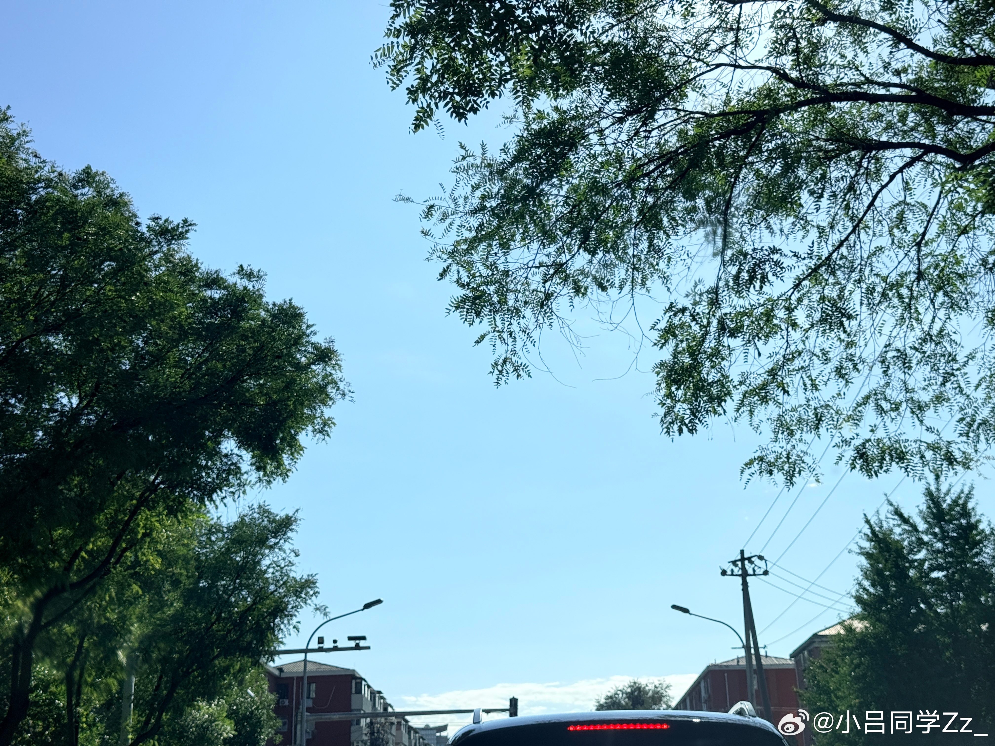 早上好啊 好漂亮的天 