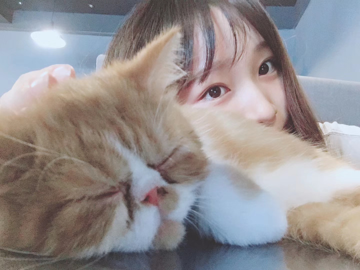 聊着聊着睡着了又错过了小时候的萌照