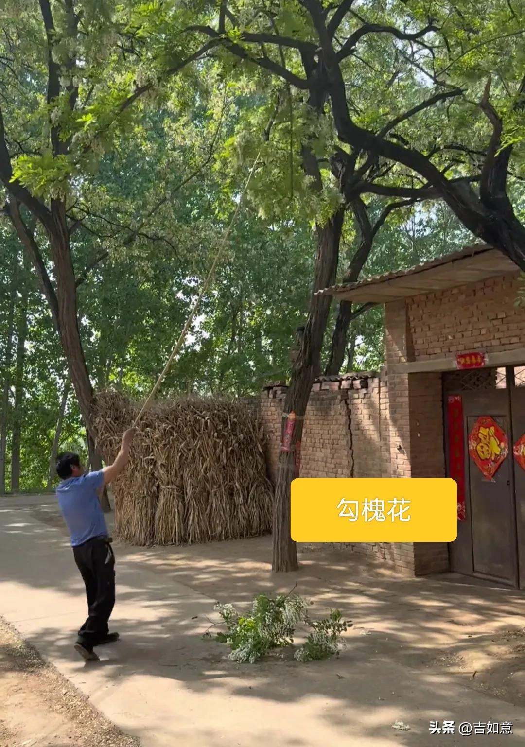 如果一觉醒来，让你来到了田园时光，你愿意吗[what]