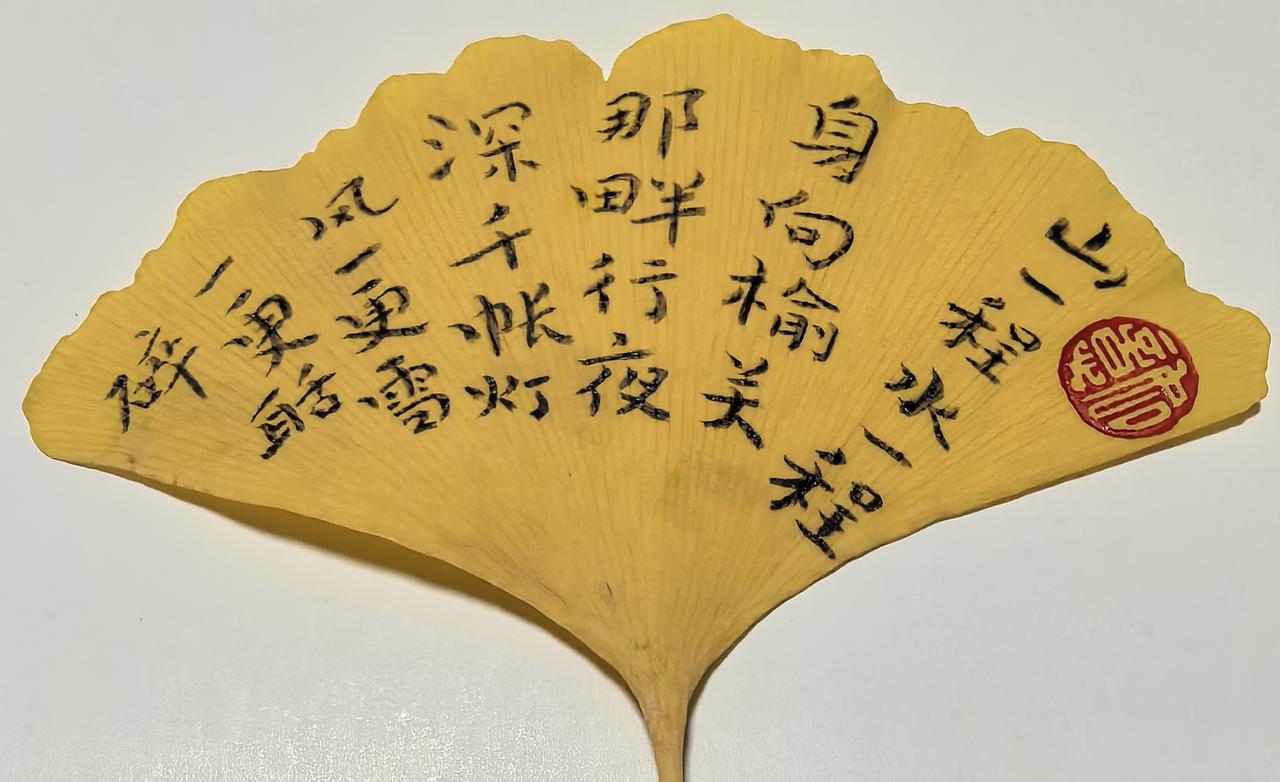 初冬季节，又是银杏叶子在路面，扑满金黄的时候，刚刚掉下的叶子还很干净，我就捡拾了