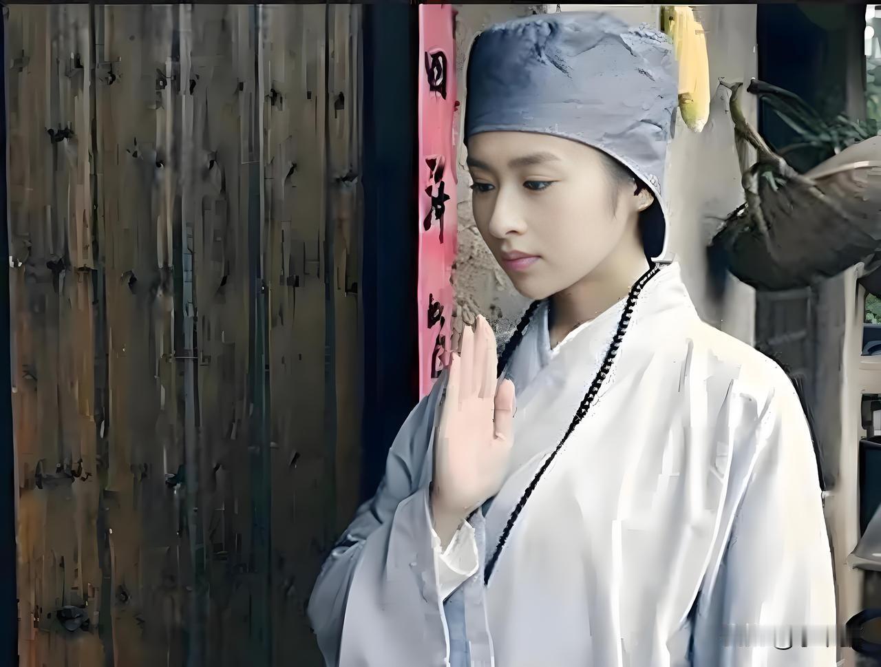 一位尼姑上将军府化缘，见将军的女儿长的好看，便要求把女儿送给她去学武功，将军十分