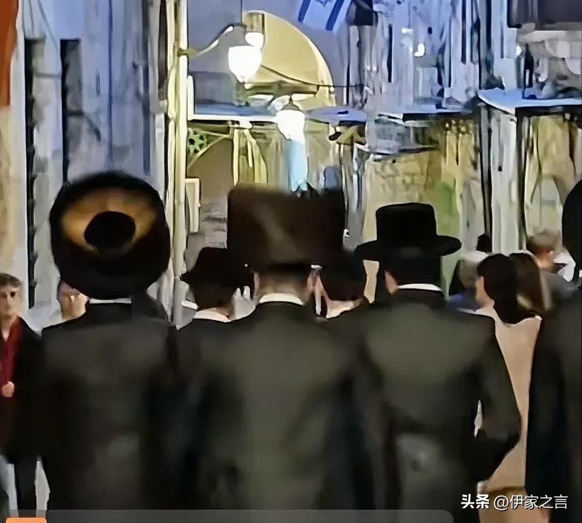 “战斗猫”、“纸老虎”，纷纷现了原形。
一直以为“波斯猫”是病猫，才发现是血气满