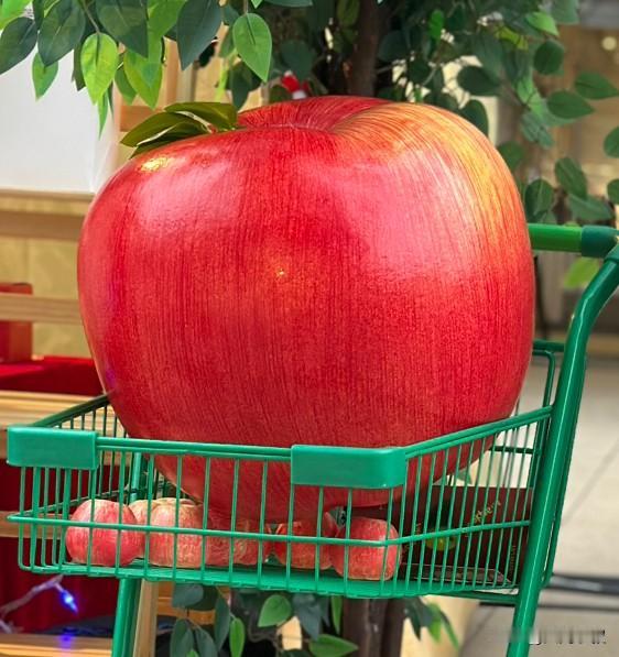 2026来啦
40岁也来了
没什么大愿望
新的一年决定好好写头条
好好找工作
好