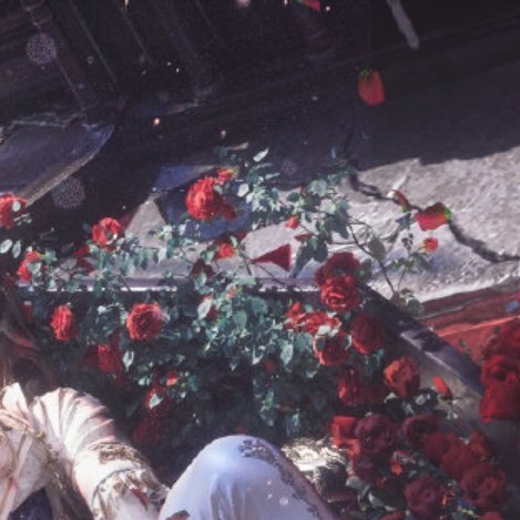 秦彻生日快乐！（14/30） 