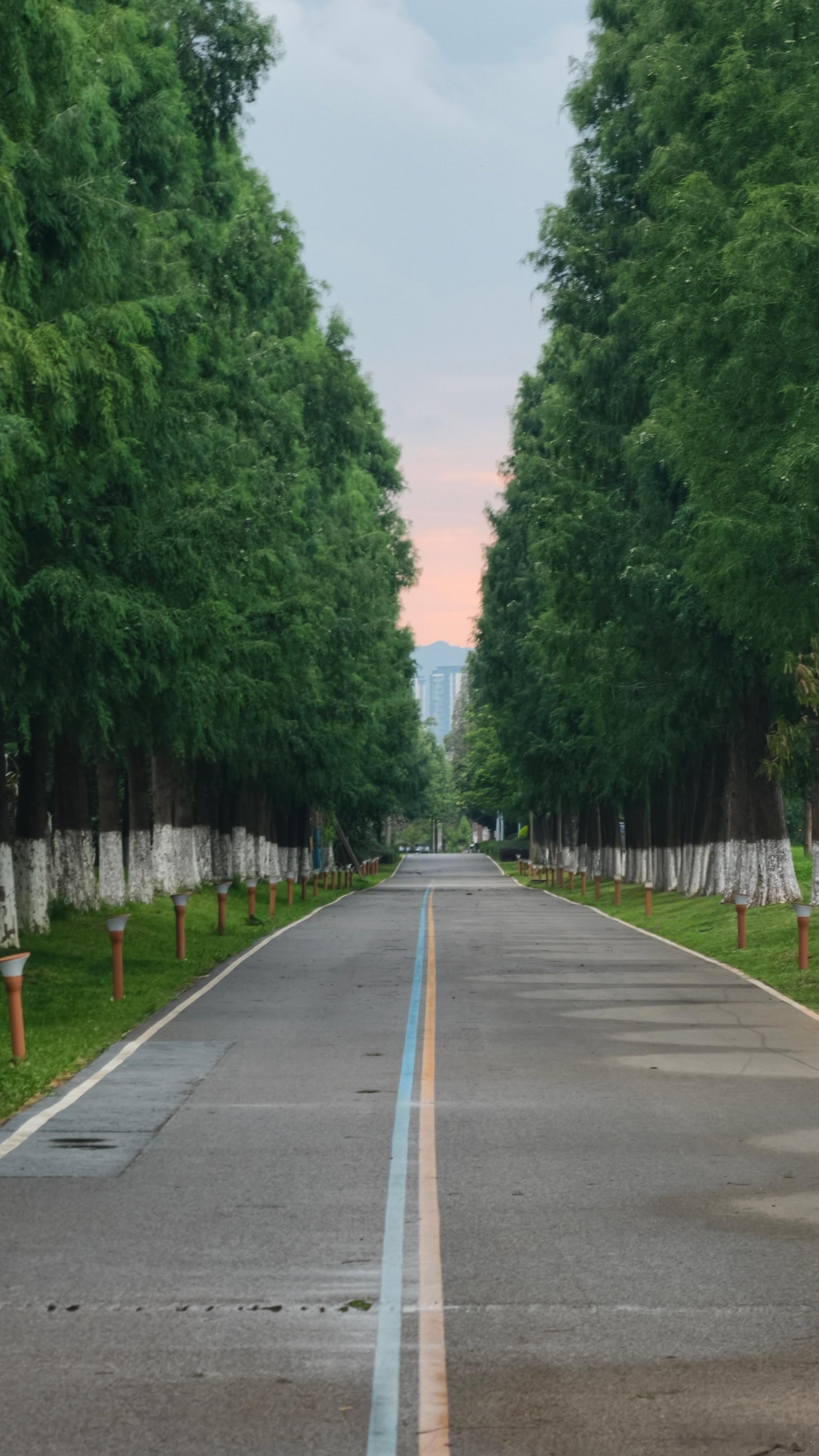云南真是一个神奇的地方 天气也是启子的车启子的日常昆明 昆明·南滇池国家湿地公园