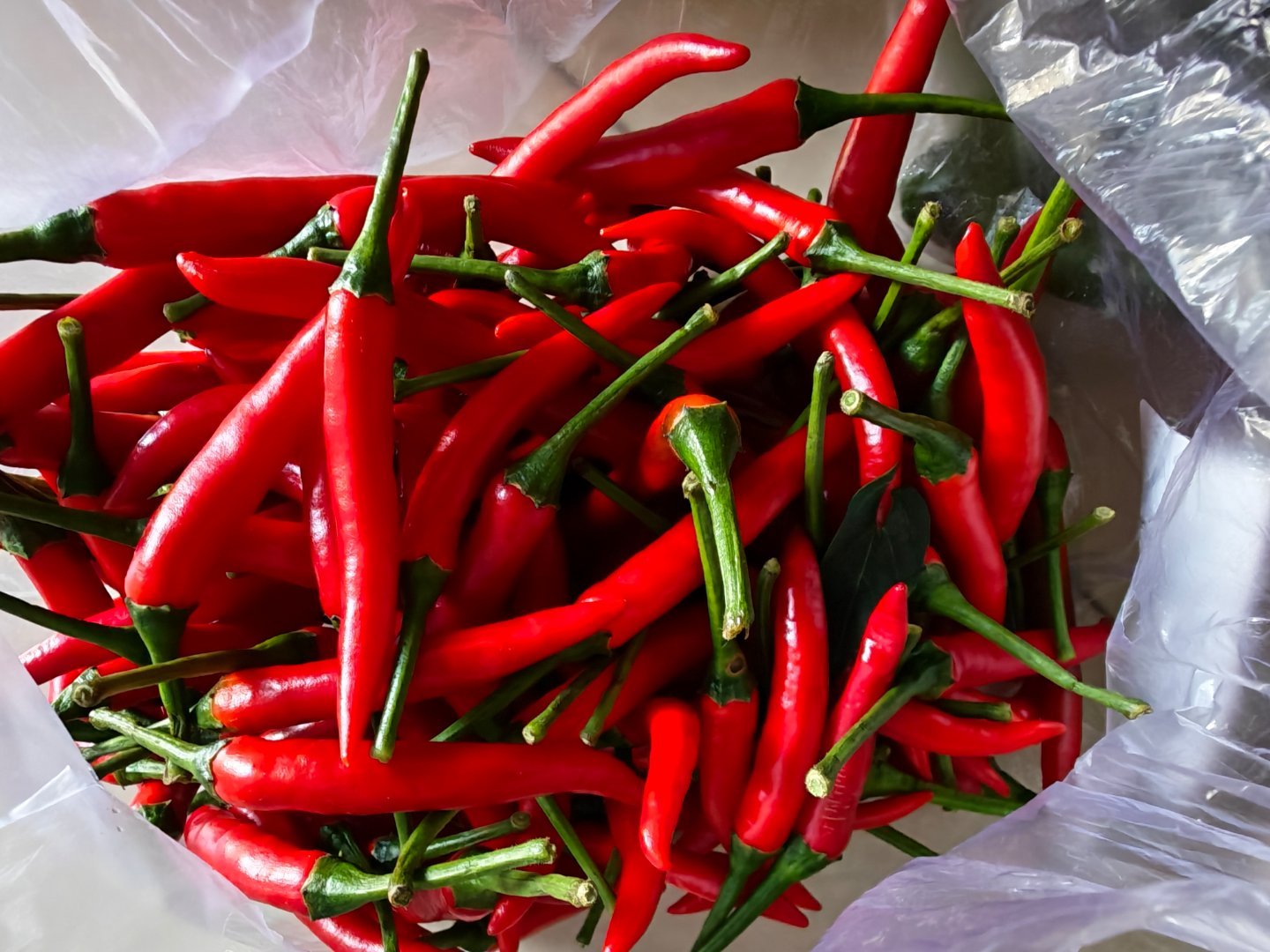 红红火火，新的一天开始了。每天早起打卡