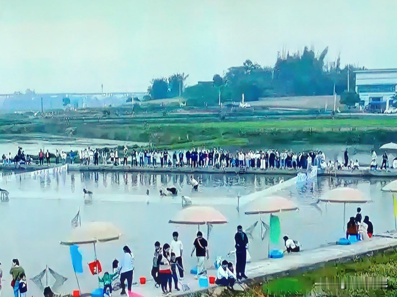 摸鱼记

五一农家乐，最热闹的就是摸鱼池了。

我卷起裤腿跳下水，凉丝丝的，舒服