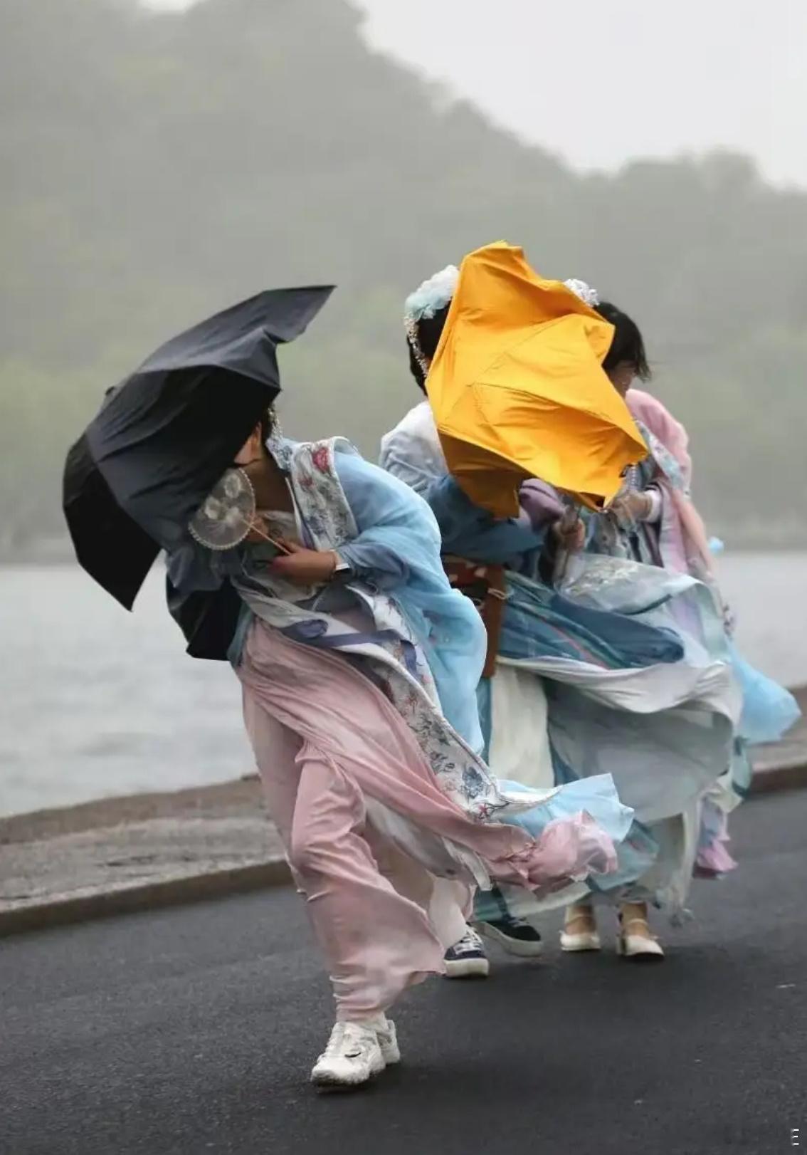 七月水疗雨打梧桐，街面迅成洗脚池风掀伞骨，路人秒变落汤鸡嘻嘻，谁乐得欢？三龄童牵