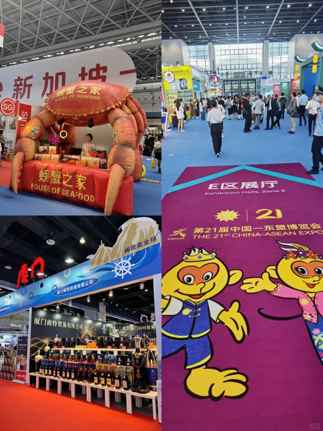 码住❗️第一次逛东盟博览会的实用最全攻略