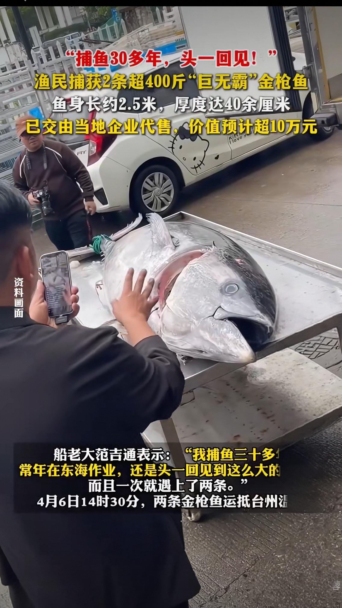 捕鱼30多年头一回见！渔民捞起2条400斤金枪鱼，价值10万背后藏着大海的馈赠