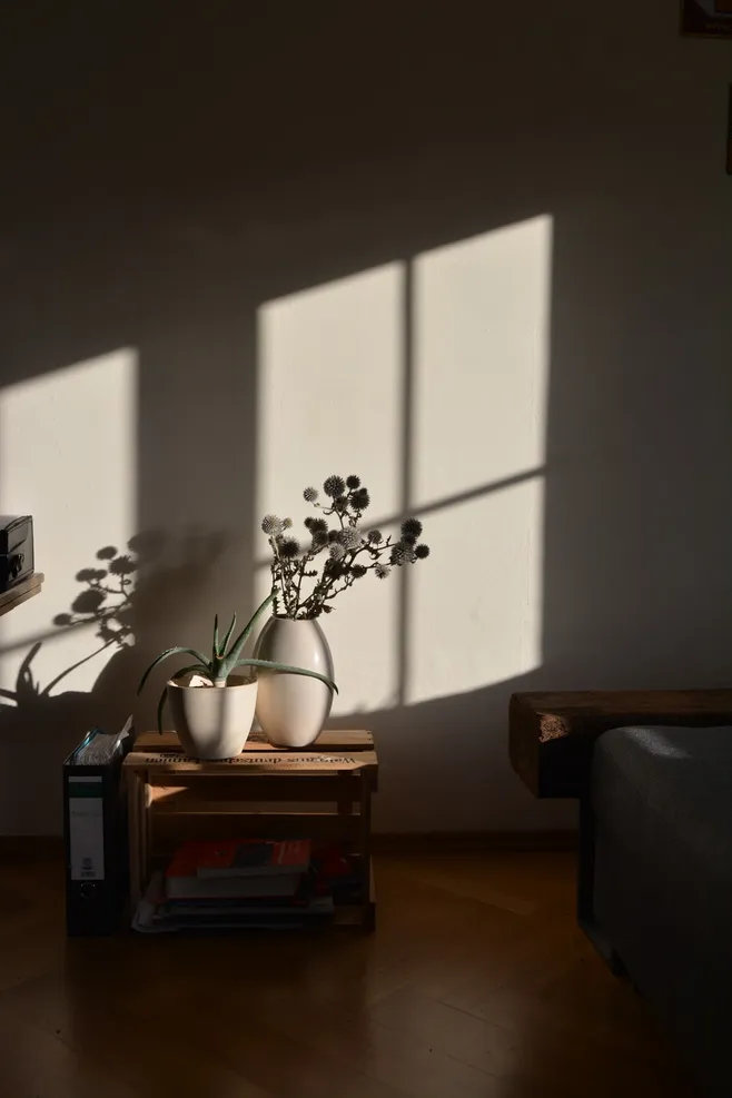 失望无论大小，是一种苦味。——鲁迅《坟》