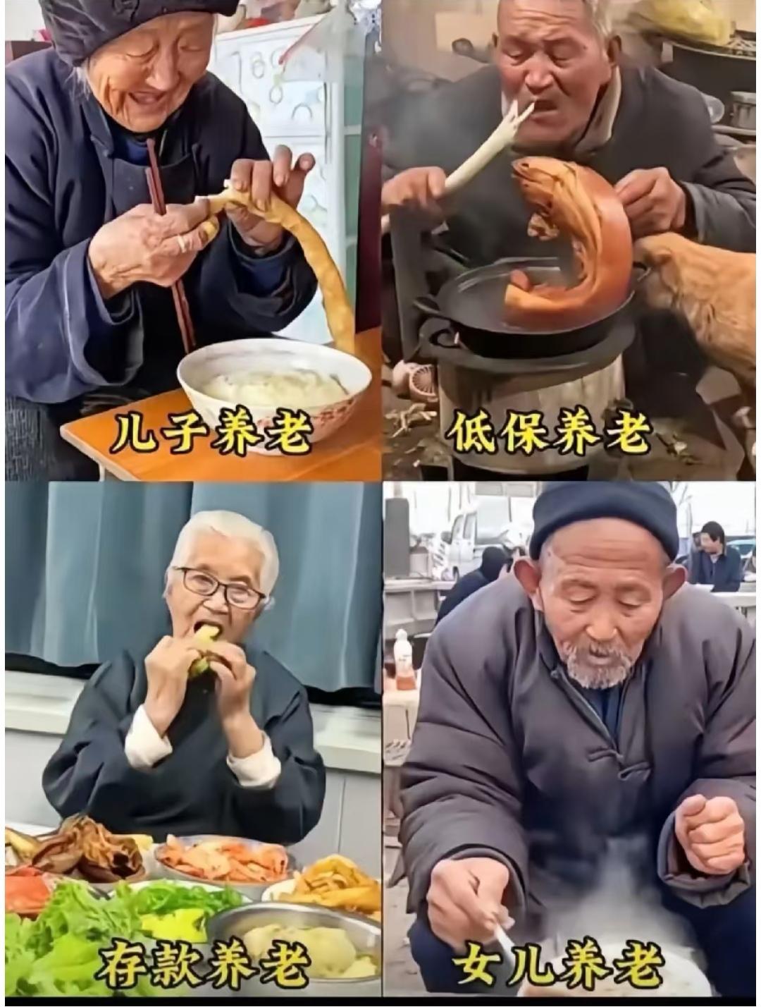 如果有得选择，你更愿意哪一种养老？