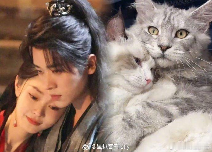 宋轶[超话]猫塑宋轶丞磊的人简直是个天才你好星期六当清冷飒爽的大晋女将军黎霜，碰