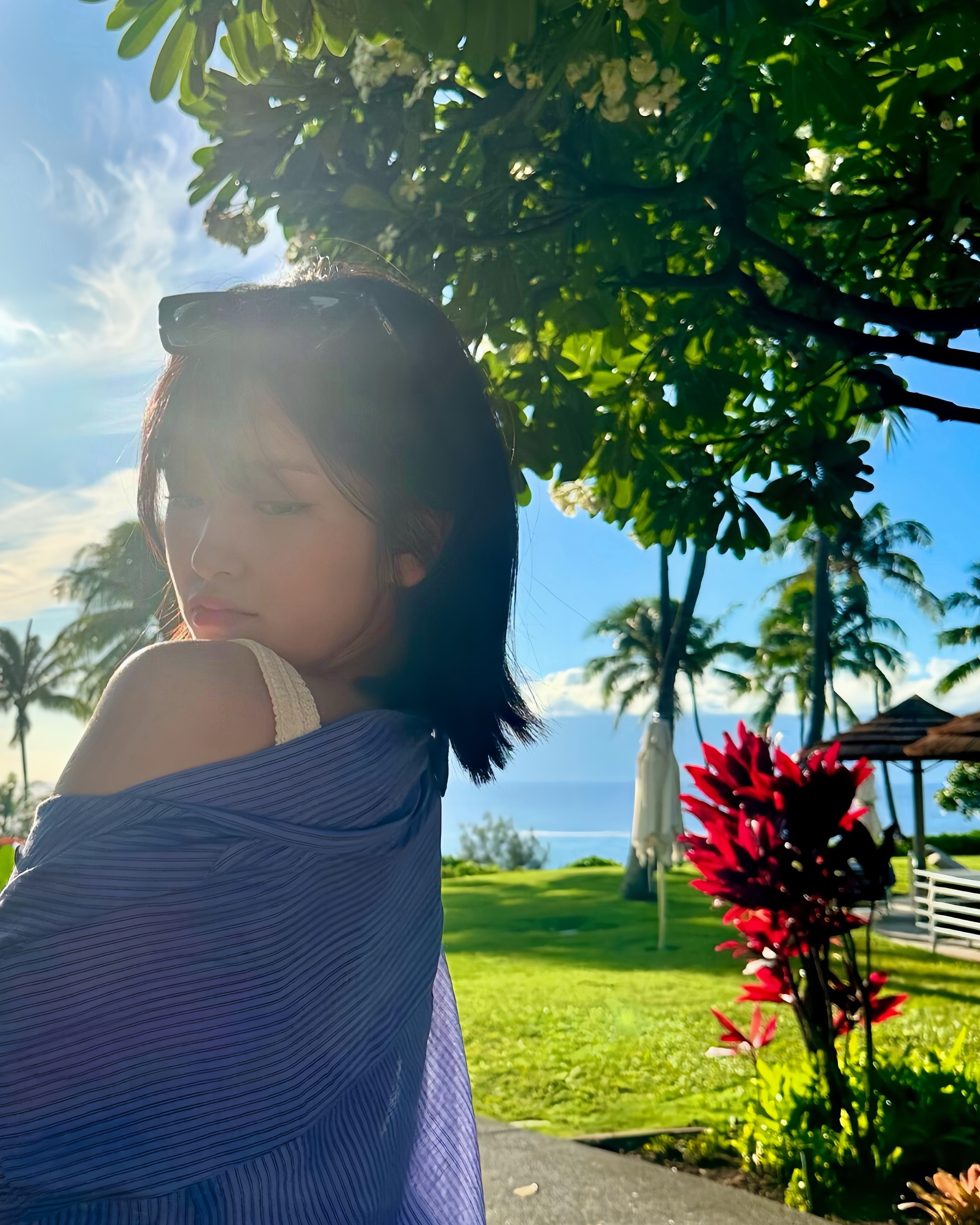 安宥真☀️🌺 