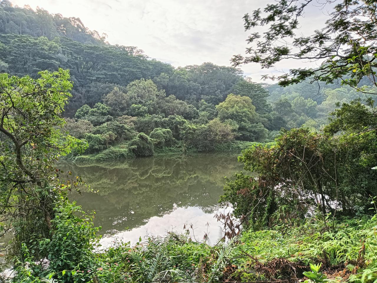 ?
昨天全球股市都起飞了，韩股涨8%，日股涨5%，欧股美股涨3%，港股也涨了2%