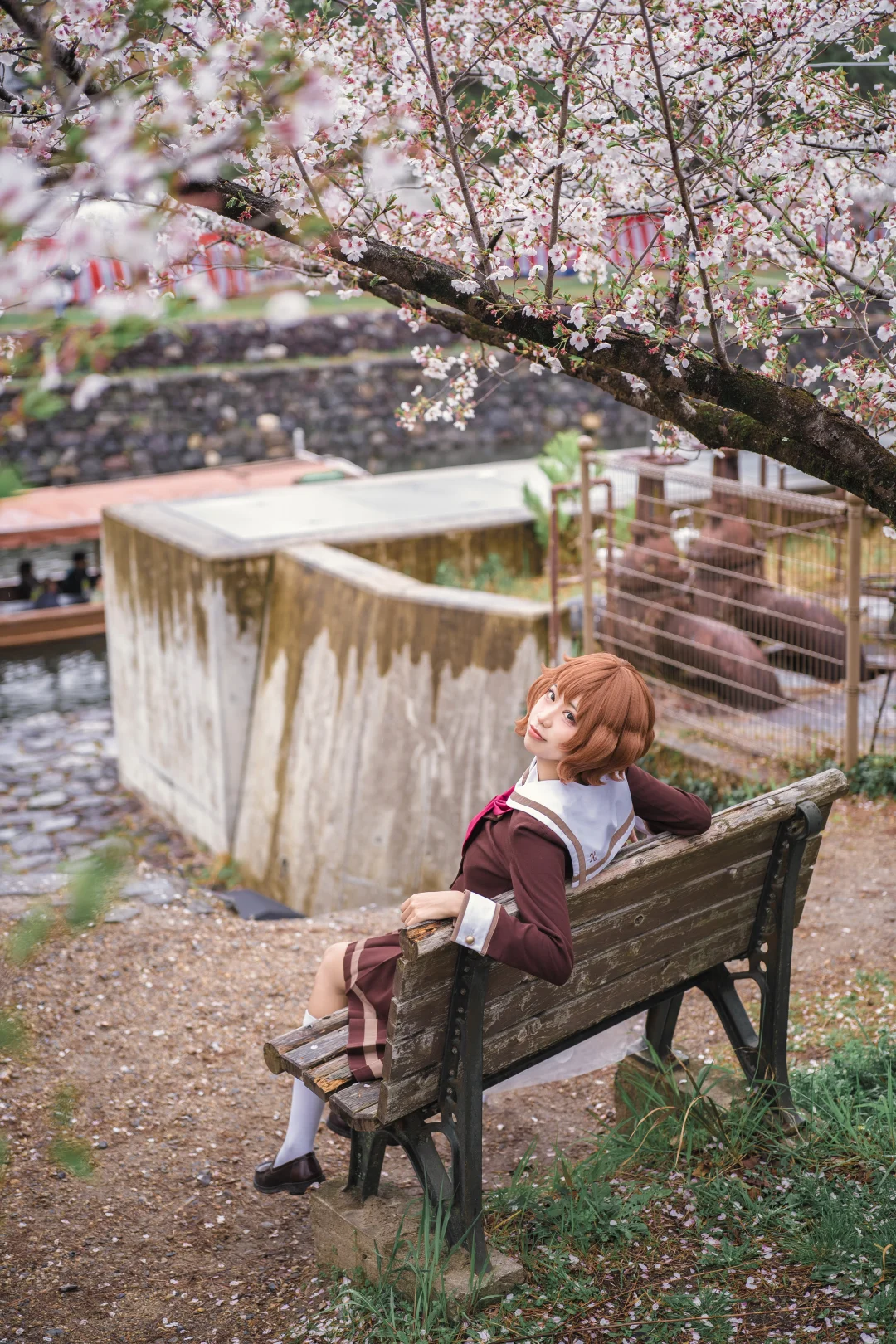 久美子椅和久美子🌸