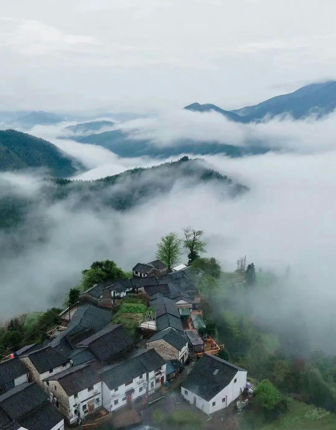 其实南方的清明节是踏青的好时节。我老家在古田大山里头，家在此山中，云深不知处。第
