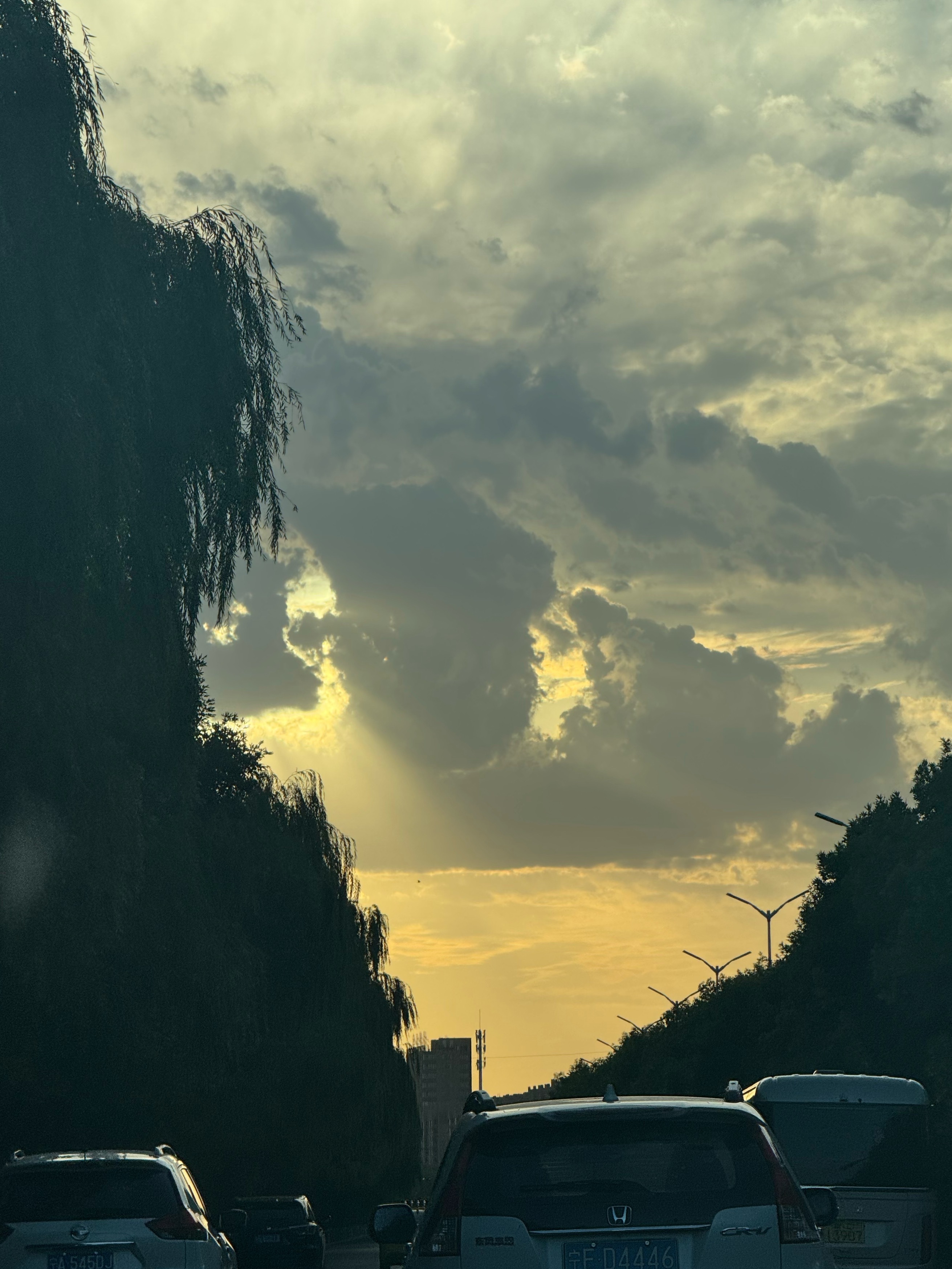 明天醒来太阳还会照常升起吧 ​​​
