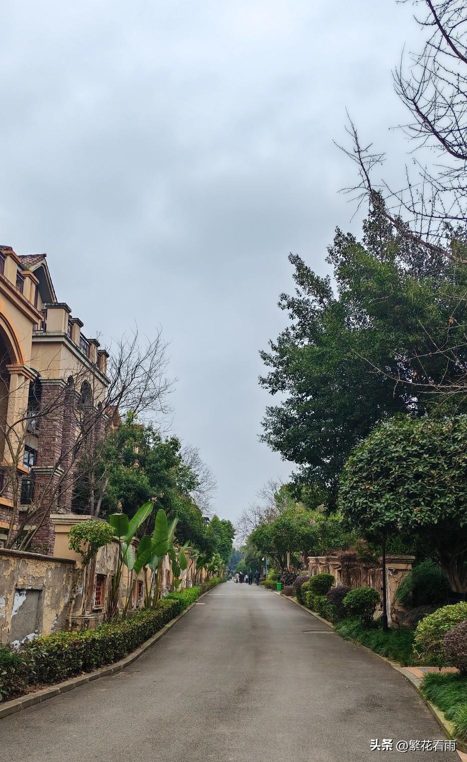 正月十六，年算是正儿八经过完了。就像一场热闹的派对，散场后只剩寂静。

晨光中回