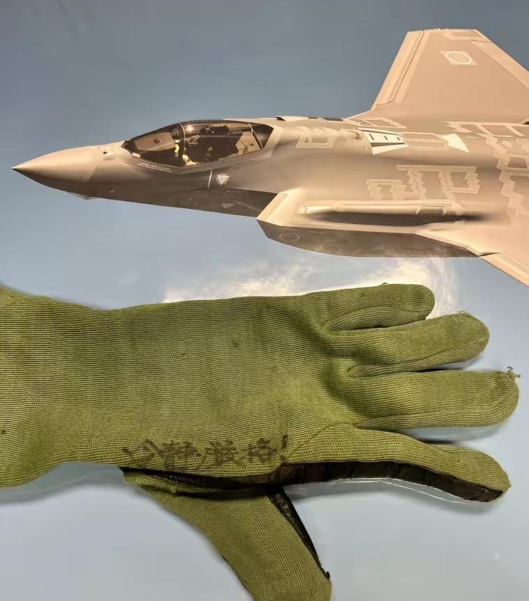 小泉进次郎的戏码，一只手套写“冷静”？
 
12月17日，小泉进次郎干了一件“奇