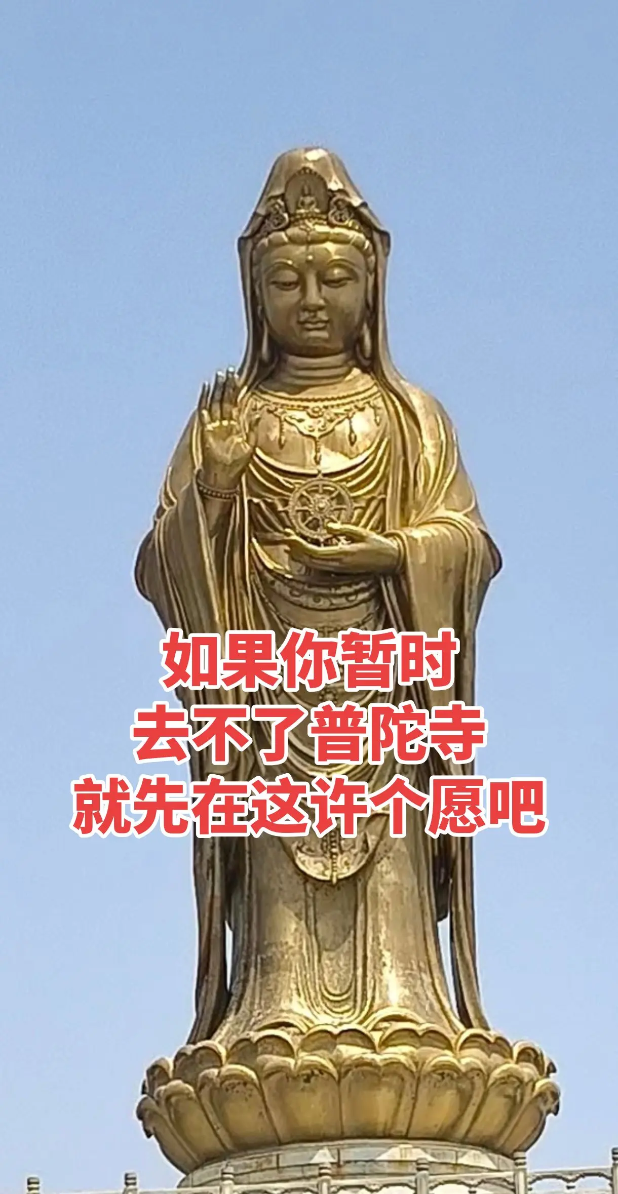 愿你所求皆所愿 所愿皆所得！