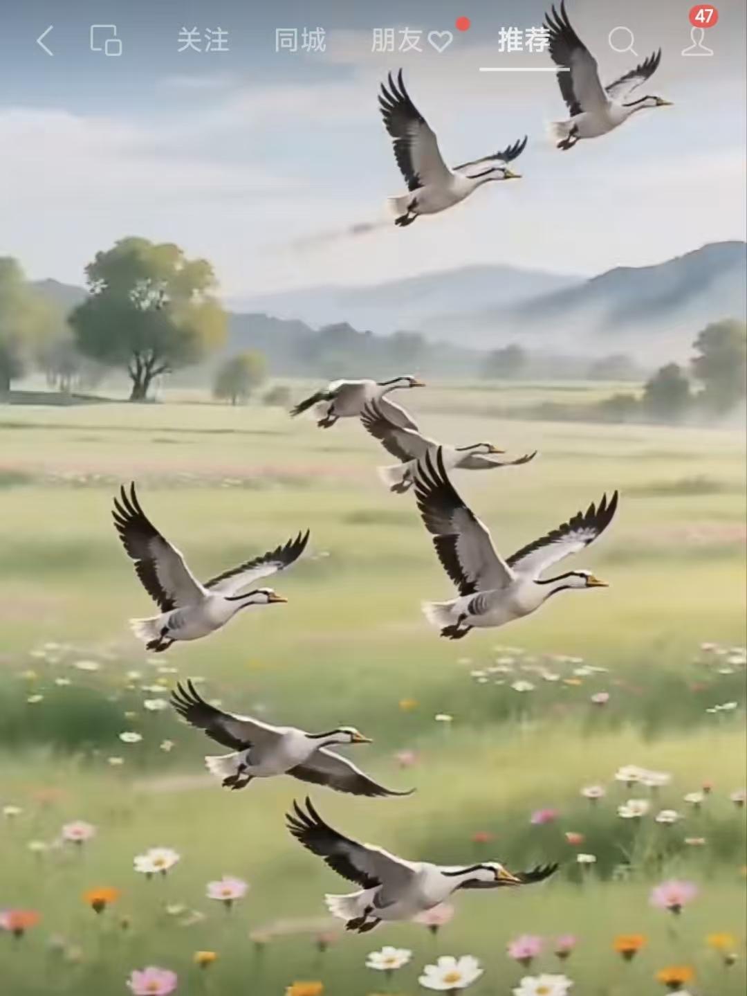 捣练子·咏雁
秋又至，雁南驰，
风露千年志不移。
为赴远方寻诗意，
往来寒暑自相