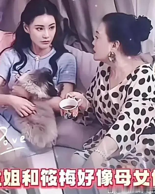 #万能生活指南#小梅终于穿上了带袖子的衣服。这是小香风外套，衬着她格外的文雅。 